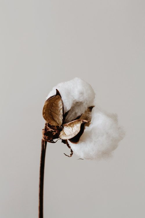  kurti,kurtis,kurti design,kurti for girls, co ord set woman, co ords set, cotton kurti, leading clothing , women's clothing brands